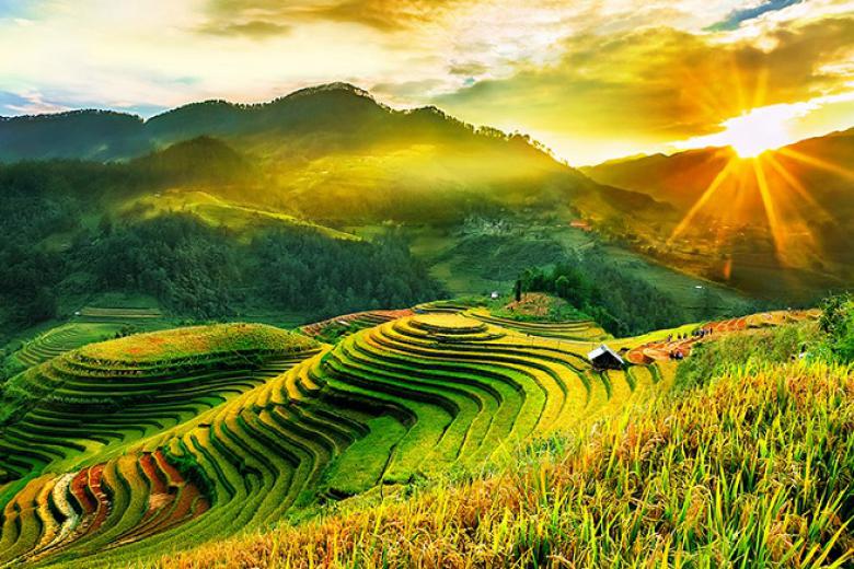 Beauté de Mu Cang Chai et Sapa 4 jours